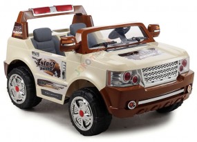 Dwuosobowe auto + pilot - U Malucha Kutno