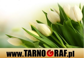 Fototapeta na wymiar - P.H.U. TARNOGRAF - Fabryka Reklamy Tarnobrzeg