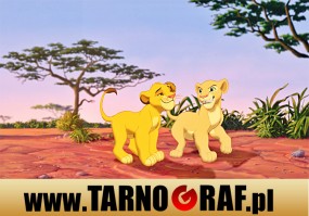 Fototapeta na wymiar - P.H.U. TARNOGRAF - Fabryka Reklamy Tarnobrzeg