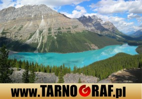 Fototapeta na wymiar - P.H.U. TARNOGRAF - Fabryka Reklamy Tarnobrzeg