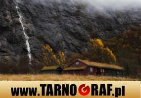 Fototapeta na wymiar - P.H.U. TARNOGRAF - Fabryka Reklamy Tarnobrzeg