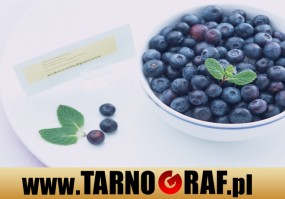 Fototapeta na wymiar - P.H.U. TARNOGRAF - Fabryka Reklamy Tarnobrzeg