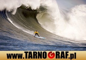 Fototapeta na wymiar - P.H.U. TARNOGRAF - Fabryka Reklamy Tarnobrzeg