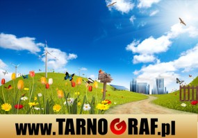 Fototapeta na wymiar - P.H.U. TARNOGRAF - Fabryka Reklamy Tarnobrzeg