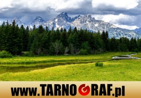 Fototapeta na wymiar - P.H.U. TARNOGRAF - Fabryka Reklamy Tarnobrzeg