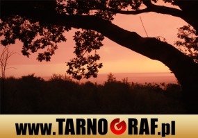 Fototapeta na wymiar - P.H.U. TARNOGRAF - Fabryka Reklamy Tarnobrzeg