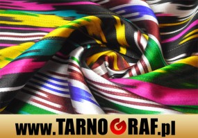 Fototapeta na wymiar - P.H.U. TARNOGRAF - Fabryka Reklamy Tarnobrzeg