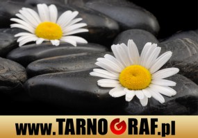 Fototapeta na wymiar - P.H.U. TARNOGRAF - Fabryka Reklamy Tarnobrzeg