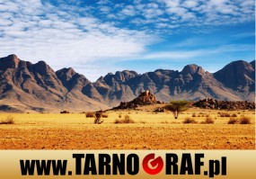 Fototapeta na wymiar - P.H.U. TARNOGRAF - Fabryka Reklamy Tarnobrzeg