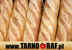 Fototapeta na wymiar - P.H.U. TARNOGRAF - Fabryka Reklamy Tarnobrzeg