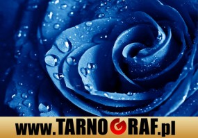 Fototapeta na wymiar - P.H.U. TARNOGRAF - Fabryka Reklamy Tarnobrzeg