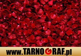 Fototapeta na wymiar - P.H.U. TARNOGRAF - Fabryka Reklamy Tarnobrzeg