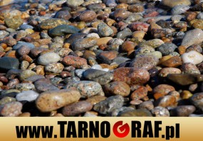 Fototapeta na wymiar - P.H.U. TARNOGRAF - Fabryka Reklamy Tarnobrzeg