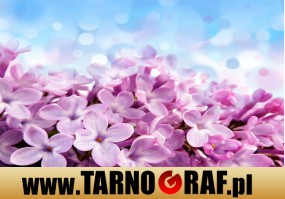 Fototapeta na wymiar - P.H.U. TARNOGRAF - Fabryka Reklamy Tarnobrzeg