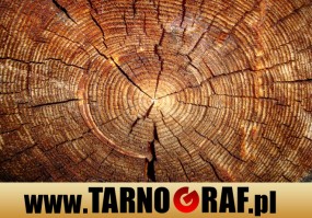 Fototapeta na wymiar - P.H.U. TARNOGRAF - Fabryka Reklamy Tarnobrzeg