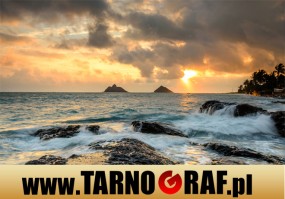 Fototapeta na wymiar - P.H.U. TARNOGRAF - Fabryka Reklamy Tarnobrzeg