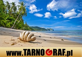 Fototapeta na wymiar - P.H.U. TARNOGRAF - Fabryka Reklamy Tarnobrzeg