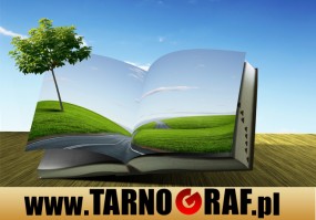 Fototapeta na wymiar - P.H.U. TARNOGRAF - Fabryka Reklamy Tarnobrzeg