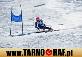 Fototapeta na wymiar - P.H.U. TARNOGRAF - Fabryka Reklamy Tarnobrzeg