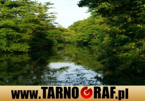 Fototapeta na wymiar - P.H.U. TARNOGRAF - Fabryka Reklamy Tarnobrzeg