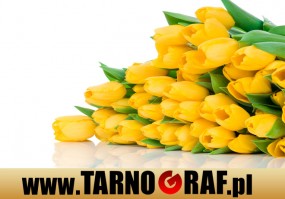 Fototapeta na wymiar - P.H.U. TARNOGRAF - Fabryka Reklamy Tarnobrzeg