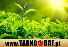 Fototapeta na wymiar - P.H.U. TARNOGRAF - Fabryka Reklamy Tarnobrzeg