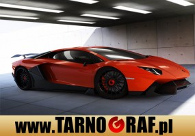 Fototapeta na wymiar - P.H.U. TARNOGRAF - Fabryka Reklamy Tarnobrzeg