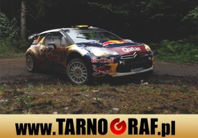 Fototapeta na wymiar - P.H.U. TARNOGRAF - Fabryka Reklamy Tarnobrzeg