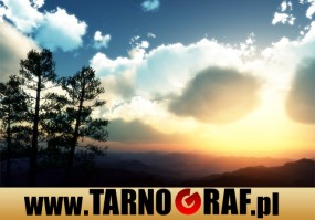 Fototapeta na wymiar - P.H.U. TARNOGRAF - Fabryka Reklamy Tarnobrzeg