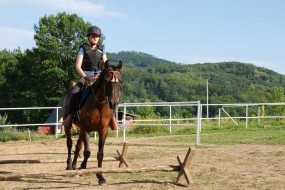 Nauka jazdy na koniu - Rossa Montana Chwalisław