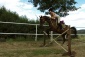 Nauka jazdy na koniu nauka jazdy konnej - Chwalisław Rossa Montana