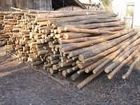 Stemple budowlane - Skup sprzedaż drewna i tarcicy Dawiec józef Lubomierz