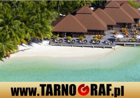 Fototapeta na wymiar - P.H.U. TARNOGRAF - Fabryka Reklamy Tarnobrzeg