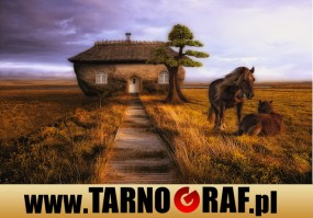 Fototapeta na wymiar - P.H.U. TARNOGRAF - Fabryka Reklamy Tarnobrzeg