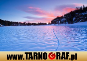 Fototapeta na wymiar - P.H.U. TARNOGRAF - Fabryka Reklamy Tarnobrzeg