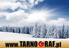 Fototapeta na wymiar - P.H.U. TARNOGRAF - Fabryka Reklamy Tarnobrzeg