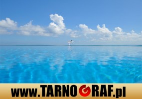 Fototapeta na wymiar - P.H.U. TARNOGRAF - Fabryka Reklamy Tarnobrzeg