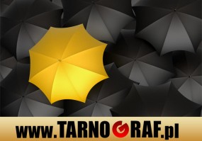 Fototapeta na wymiar - P.H.U. TARNOGRAF - Fabryka Reklamy Tarnobrzeg