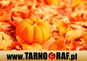 Fototapeta na wymiar - P.H.U. TARNOGRAF - Fabryka Reklamy Tarnobrzeg