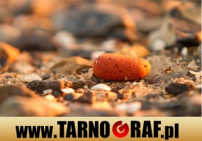 Fototapeta na wymiar - P.H.U. TARNOGRAF - Fabryka Reklamy Tarnobrzeg