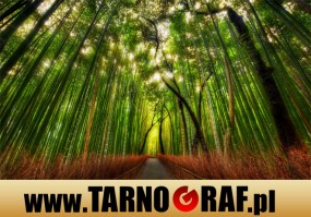 Fototapeta na wymiar - P.H.U. TARNOGRAF - Fabryka Reklamy Tarnobrzeg