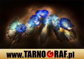 Fototapeta na wymiar - P.H.U. TARNOGRAF - Fabryka Reklamy Tarnobrzeg