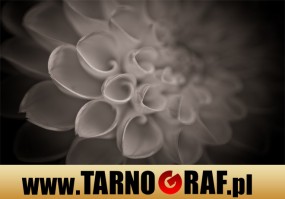 Fototapeta na wymiar - P.H.U. TARNOGRAF - Fabryka Reklamy Tarnobrzeg