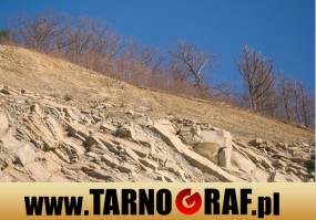 Fototapeta na wymiar - P.H.U. TARNOGRAF - Fabryka Reklamy Tarnobrzeg