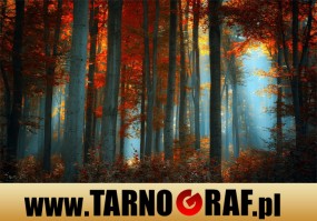 Fototapeta na wymiar - P.H.U. TARNOGRAF - Fabryka Reklamy Tarnobrzeg