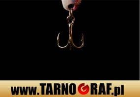 Fototapeta na wymiar - P.H.U. TARNOGRAF - Fabryka Reklamy Tarnobrzeg