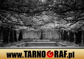 Fototapeta na wymiar - P.H.U. TARNOGRAF - Fabryka Reklamy Tarnobrzeg