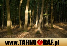 Fototapeta na wymiar - P.H.U. TARNOGRAF - Fabryka Reklamy Tarnobrzeg