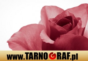 Fototapeta na wymiar - P.H.U. TARNOGRAF - Fabryka Reklamy Tarnobrzeg