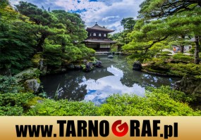 Fototapeta na wymiar - P.H.U. TARNOGRAF - Fabryka Reklamy Tarnobrzeg